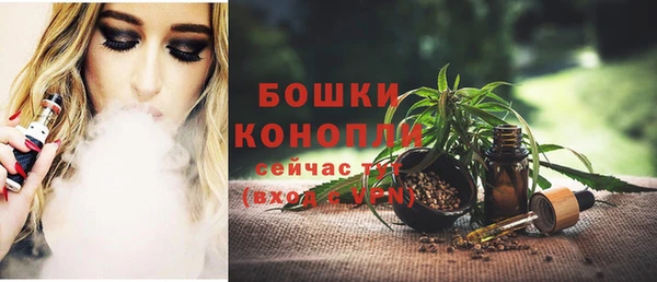 амф Вяземский