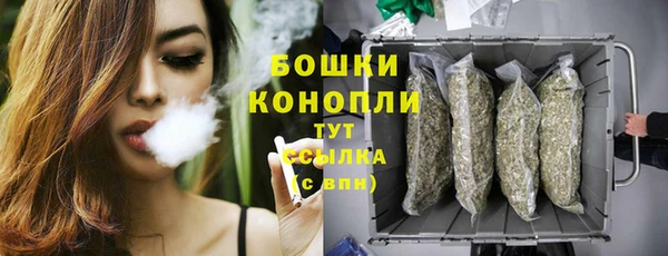 ешки Пересвет