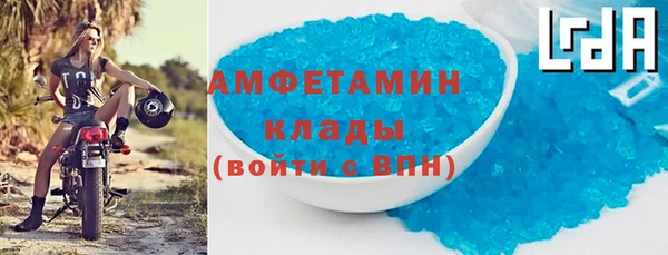 амф Вяземский
