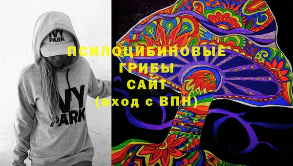 крисы Волоколамск