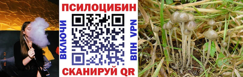 Псилоцибиновые грибы Magic Shrooms  Зеленогорск 
